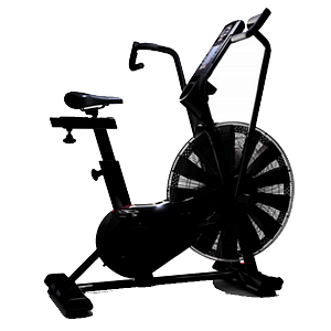 Купить Аэробайк Schwinn Airdyne AD8 в Москве