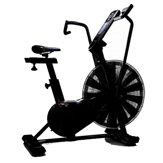 Аэробайк Schwinn Airdyne AD8 фото2