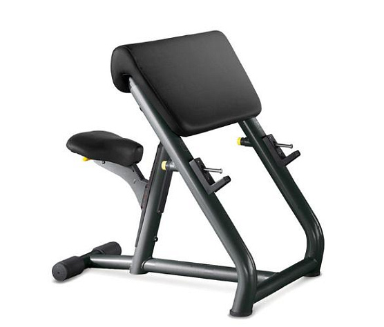 Скамья Скотта Technogym Scott bench