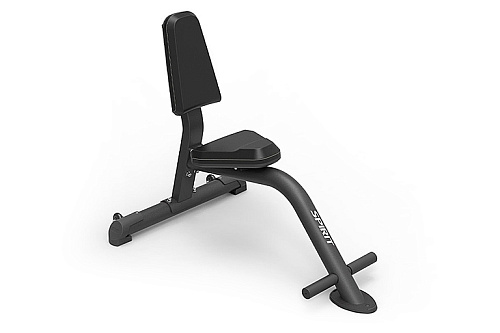 Купить Скамья-стул Spirit Fitness SP-4205 в Москве