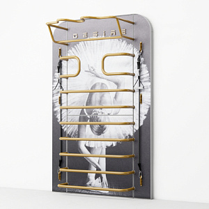 Купить Многофункциональный комплекс с изображением и кристаллами Swarovski Desire Prime Print Custom в Москве