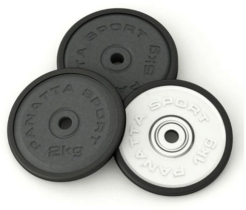 Купить Диск прорезиненный Panatta 1DG2.5 2,5 кг в Москве