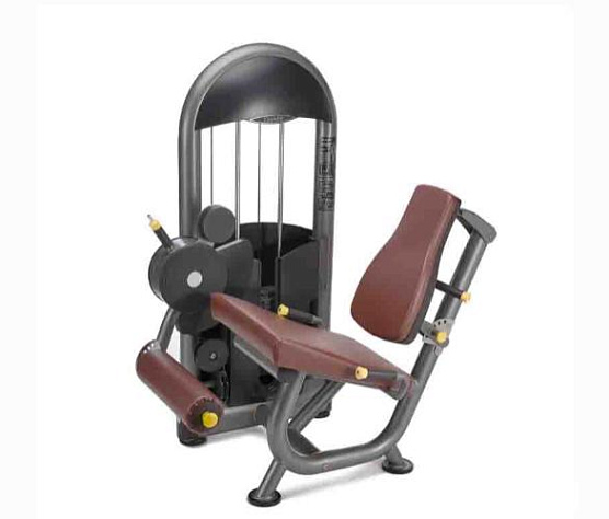 Грузоблочный тренажер на нижнюю часть тела Oxide Fitness С022 разгибание ног сидя