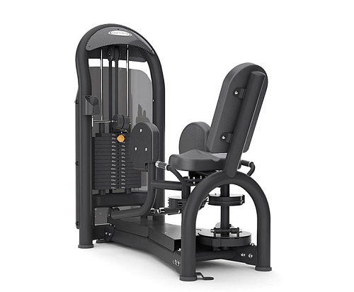Купить Отведение ног Matrix Fitness Aura G3-S75_7 в Москве
