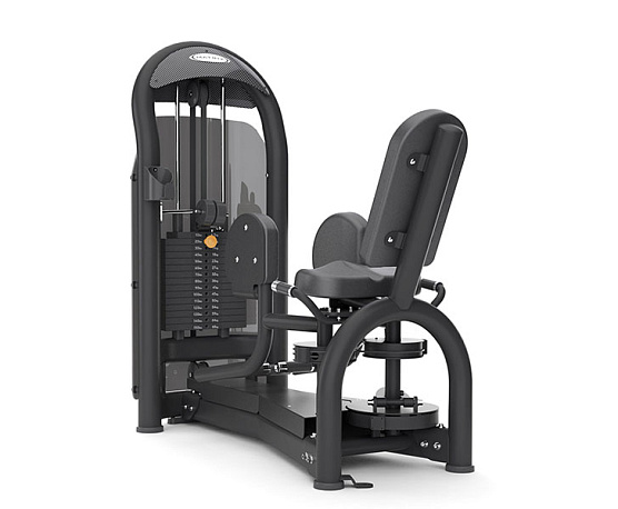 Грузоблочный тренажер Matrix Fitness Aura G3-S75_7 Отведение ног