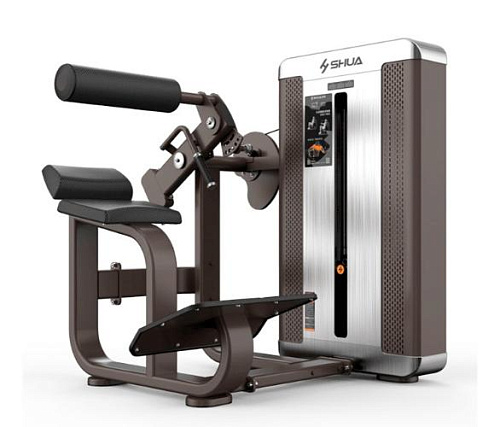 Купить Пресс / разгибание спины SHUA Back Extension SH-G8812 в Москве