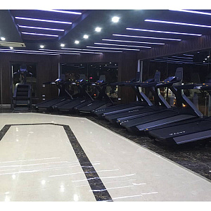 Купить Беговая дорожка Ultra Gym UG-POWER X Line в Москве