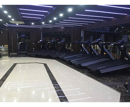 Беговая дорожка Ultra Gym UG-POWER X Line