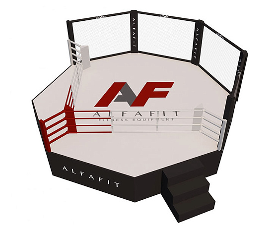 Октагон-трансформер AlfaFit на помосте высотой 1 м фото2