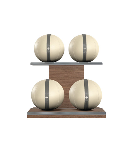 Набор медболов со стойкой Pent MOXA Power