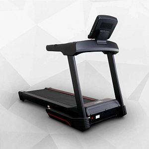 Купить Беговая дорожка Everyfit 75005LT в Москве