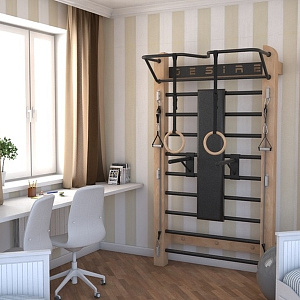 Купить Шведская стенка с эспандерами, брусьями и скамьей Desire Eco Plus в Москве