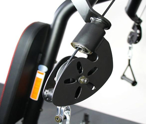 Грудь и плечи Inspire DMCS фото5