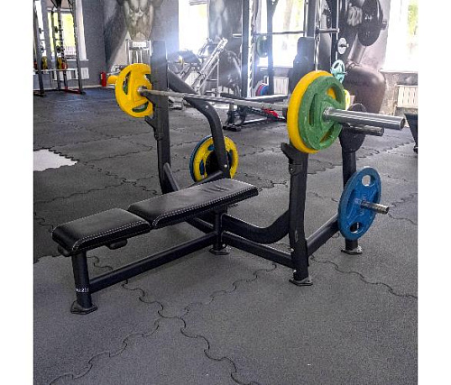 Скамья для жима Realleader FW-1001