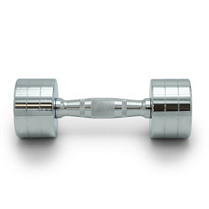 Купить Unix Fit PRO гантель круглая хромированная 5 кг / шт. в Москве
