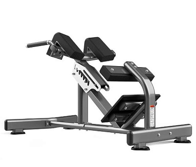 Гиперэкстензия Realleader FW-1006