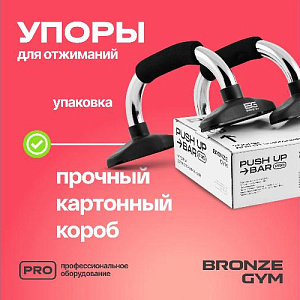 Купить Уличный комплекс Bronze Gym Упоры для отжиманий пара в Москве