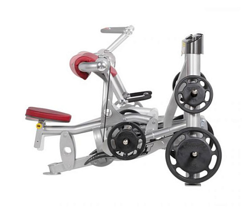 Купить Гребная тяга Hoist RPL-5102 (Free Weights) в Москве