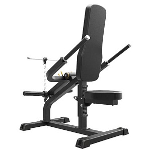 Купить Нагружаемый дисками тренажер Aerofit Impulse IFP1706 Бицепс / Трицепс 2 в 1 в Москве