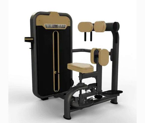 Купить Торс-машина Fiton BM-011 (косые мышцы) в Москве