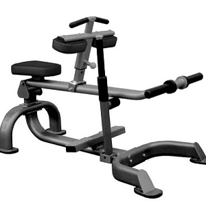 Купить Нагружаемый дисками тренажер Aerofit Impulse IT7005 Икроножные сидя в Москве