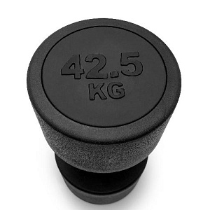 Купить Unix Fit PRO гантель круглая обрезиненная 42,5 кг / шт. в Москве