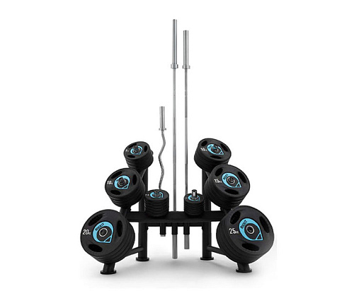 Купить Стойка для дисков + грифы Rockit в Москве