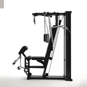 Купить Мультистанция Technogym Unica Evolution в Москве