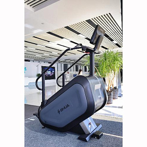 Купить Лестница SHUA SH-C8901 эскалатор  в Москве