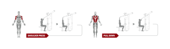 Жим от плеч / Верхняя тяга Spirit Fitness DWS103-U2 фото3