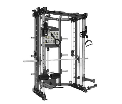 Многофункциональный силовой комплекс нагружаемый диск профессиональный DAP Bronze Gym TRUCK