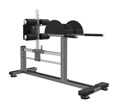 Купить Скамья для ягодичных мышц Realleader FW-2029 (GHD) в Москве