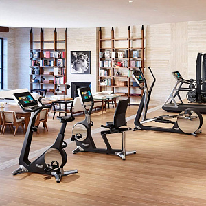 Купить Горизонтальный тренажер Technogym Recline Personal в Москве