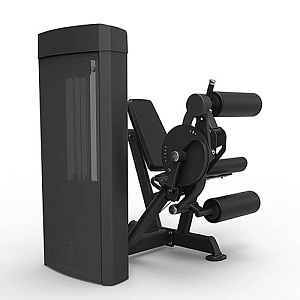 Купить Силовой тренажер Spirit Fitness Сгибание/разгибание ног сидя  SP-4605 в Москве