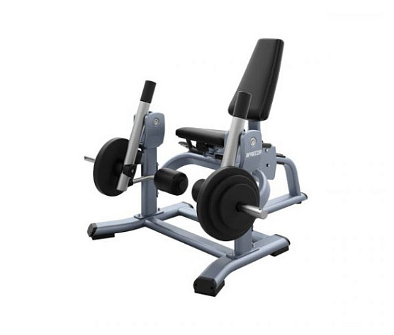 Нагружаемый дисками тренажер Precor Discovery Line DPL 560