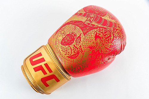 Перчатки для бокса UFC PRO Thai Naga 14 Oz красные