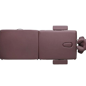 Купить Ergonova OsteoCompact WE массажный стол  в Москве
