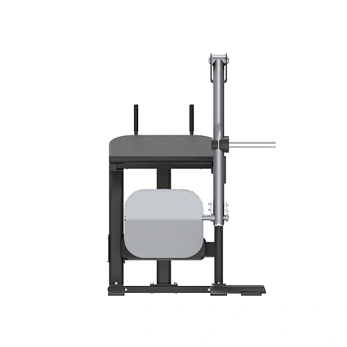 Ягодичные мышцы Smith Fitness Excellence SH007