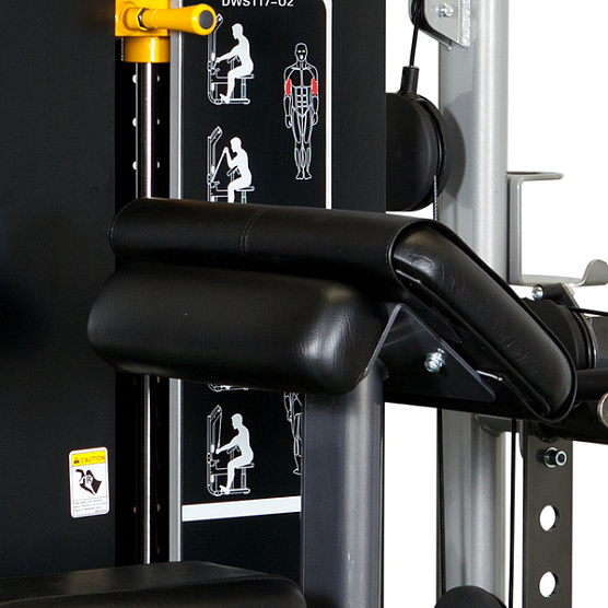 Бицепс-трицепс машина Spirit Fitness DWS117-U2 фото2