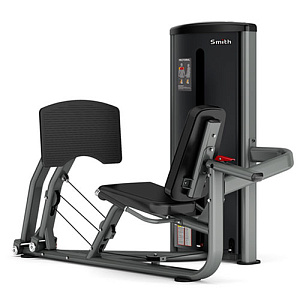 Купить Грузоблочный тренажер на нижнюю часть тела Smith Fitness Excellence BS015 Жим ногами / Икроножные мышцы в Москве