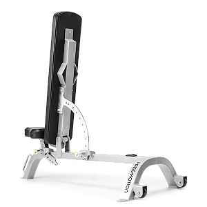 Купить Freemotion Fitness Epic EF203 в Москве