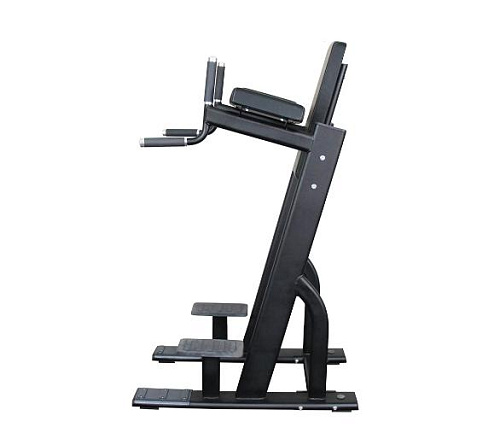 Брусья/пресс Protrain V8-301