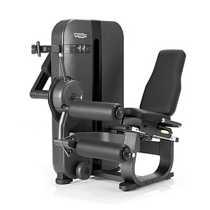 Купить Силовой тренажер Technogym Artis Leg Curl в Москве