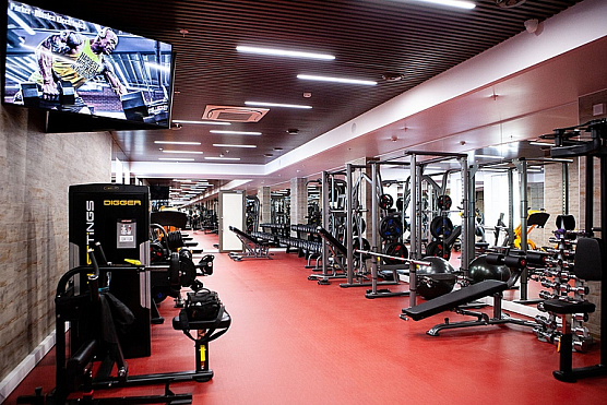 Рама для жимов и приседов Hasttings Digger HD002-4 фото2