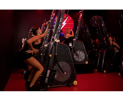 Степпер / Лестница DRAX POWER TOWER SAPT