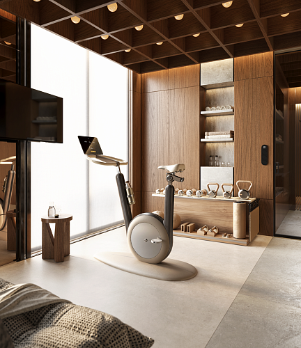 Велотренажер Pent HANIA