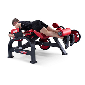 Купить Нагружаемый дисками тренажер Panatta FreeWeight Special 1FW182 в Москве