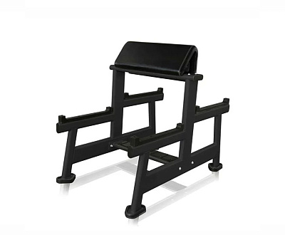 Скамья Скотта Ultra Gym UG-CL103