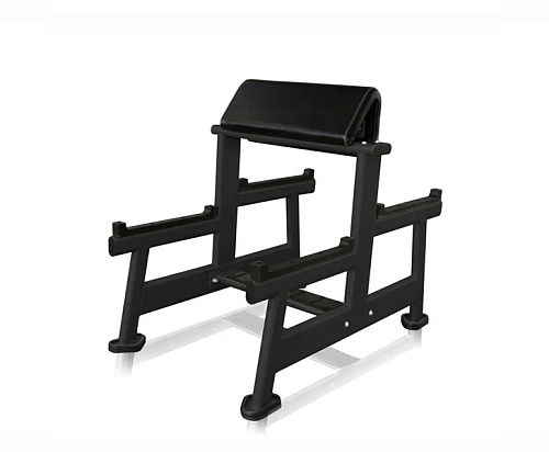 Купить Скамья Скотта Ultra Gym UG-CL103 в Москве