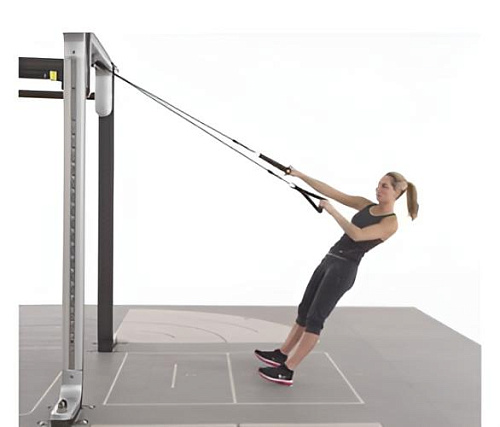 Купить Шкив Technogym Omni в Москве